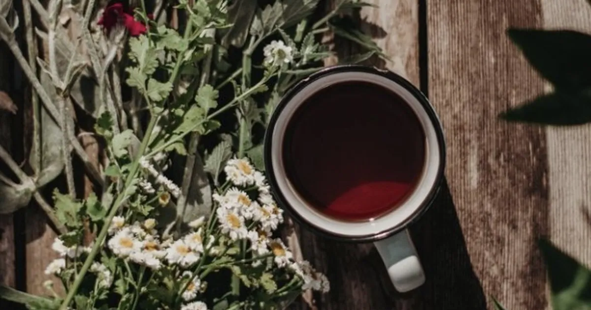 Revel & Feast: A Botanical Workshop