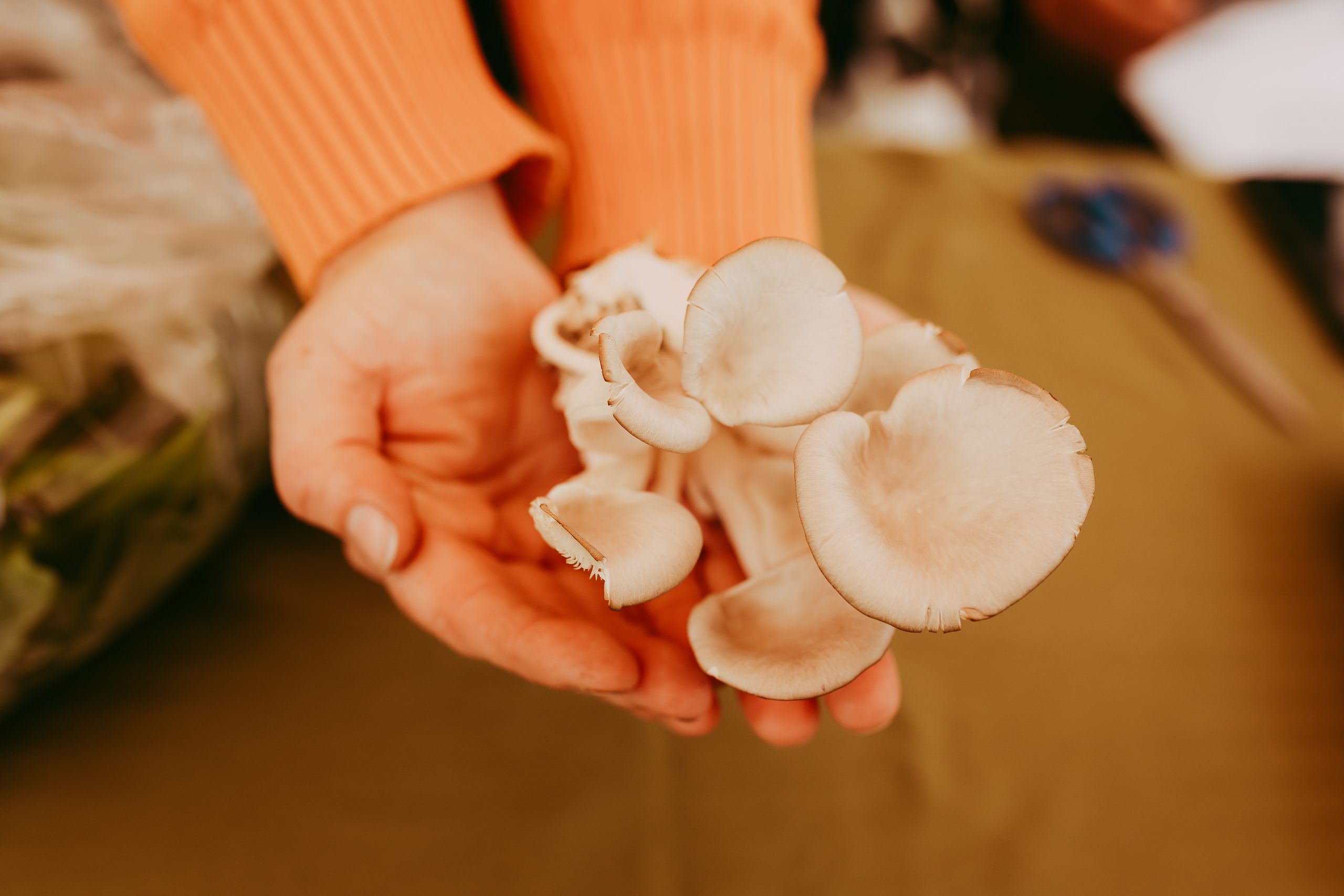 Rossland IncrEDIBLE Farmers Market – Thanksgiving Market