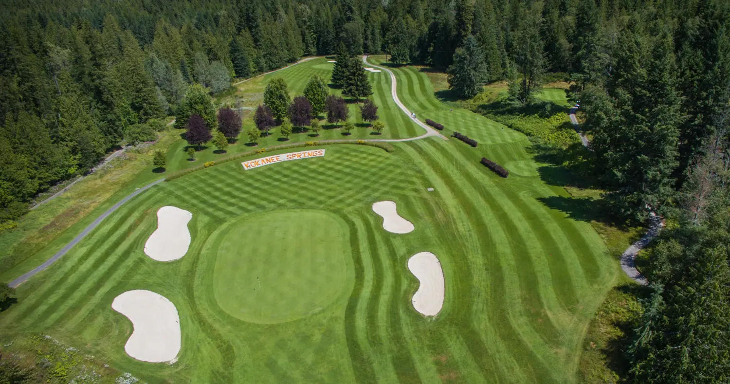 4 for 3 Green Fee Special