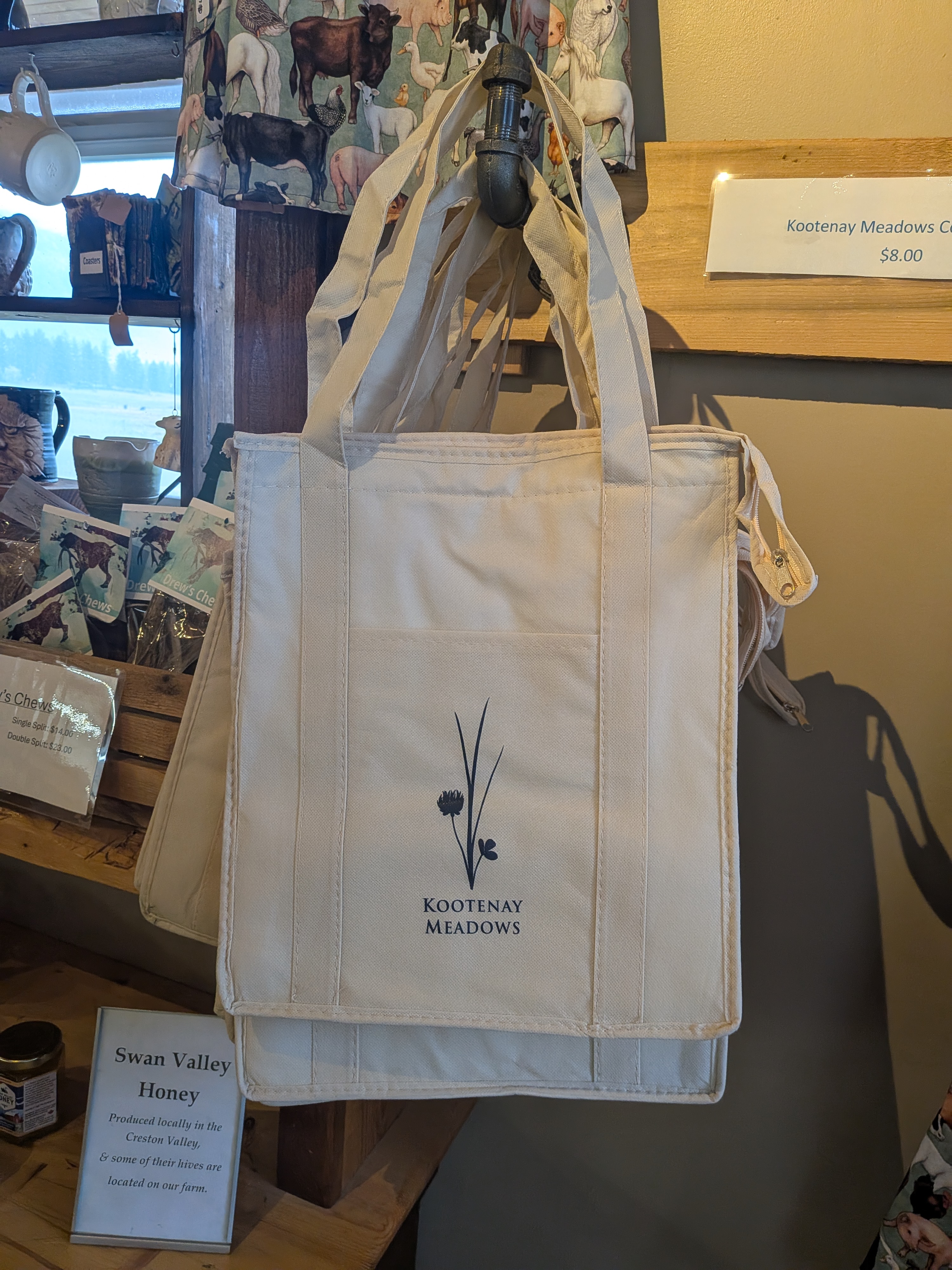 Free Cooler Bag