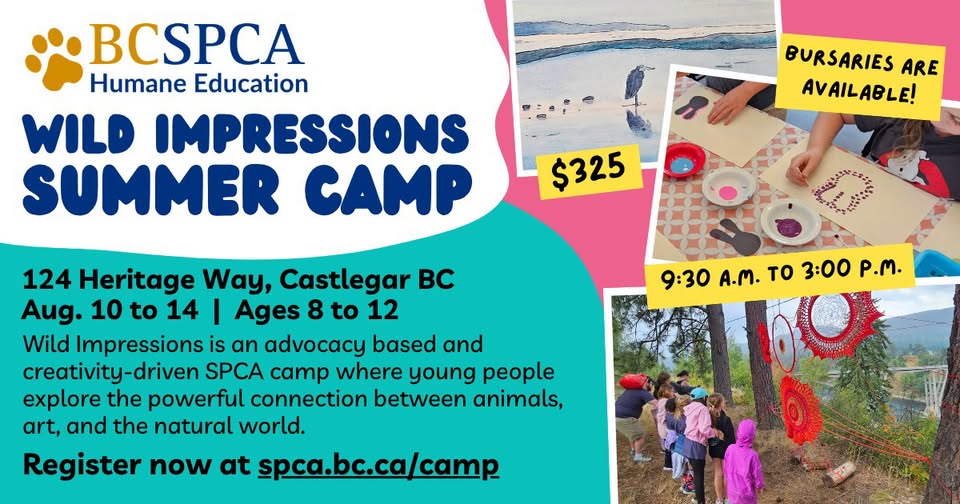 Wild Impressions Youth Summer Camp