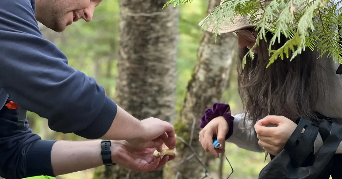 Revel & Feast: Forage and Fire, Family Afternoon